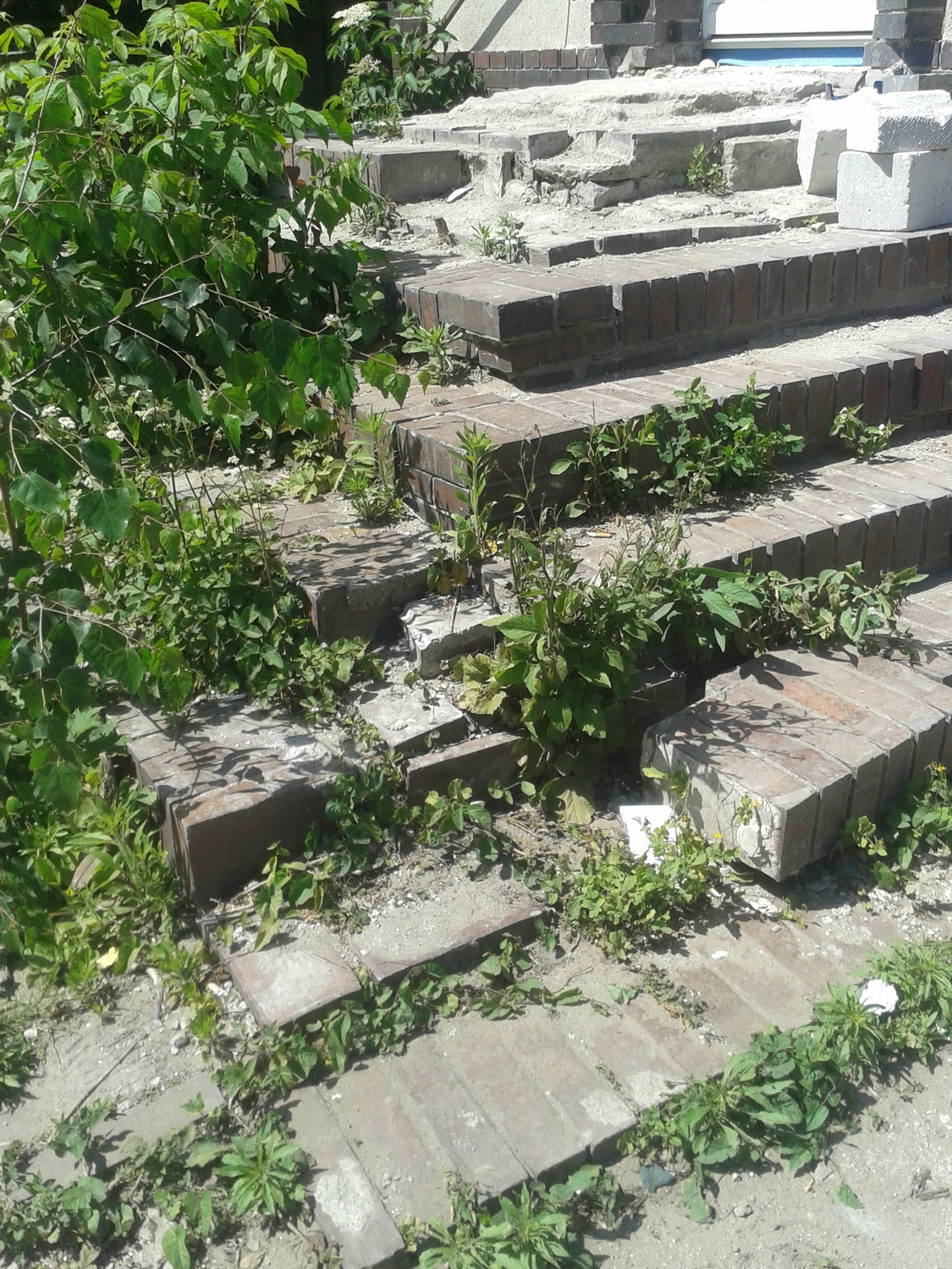 Albrecht Eschrich - Fassaden-Klinkerbau - Mauerareiten